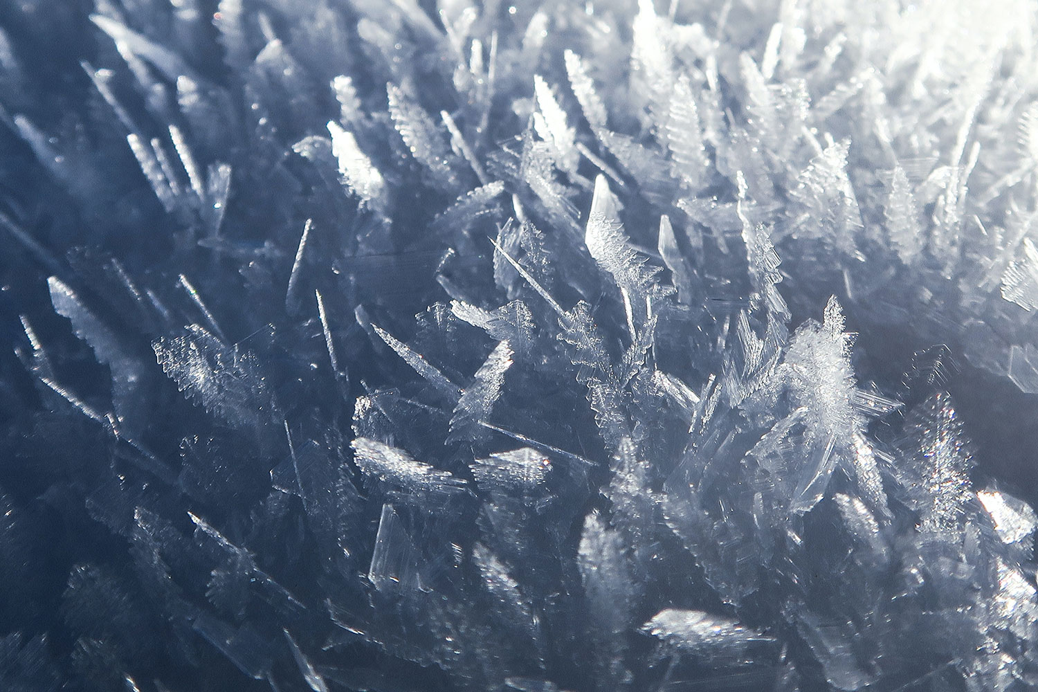 Featured image for What to Do When Your AC Freezes Up in the Middle of Summer