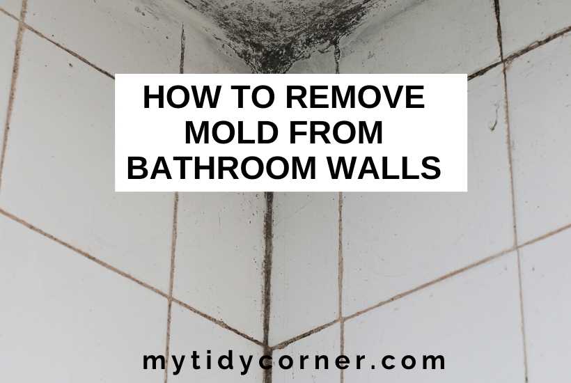 Content image for Mold Growing on Bathroom Walls? How to Eliminate It