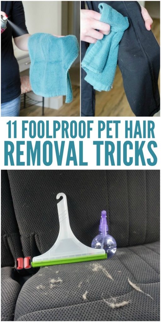 Content image for Pet Hair Sticking to Upholstery? Tricks to Lift It Off Easily