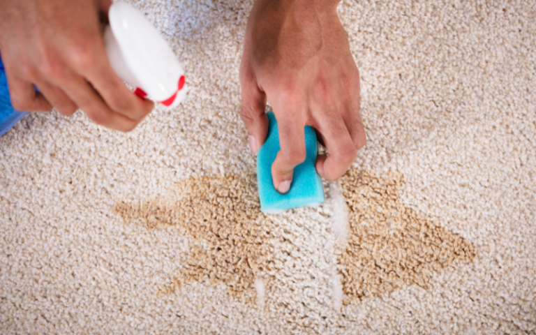 Featured image for Stains Not Coming Out of Carpets? Effective Spot-Treatment Ideas