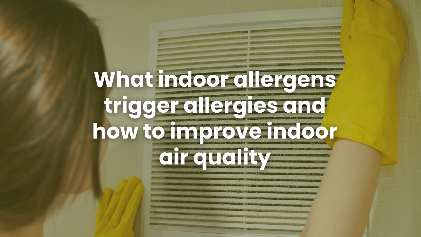 Featured image for Microscopic Allergens Hiding Indoors? Tips to Keep Air Fresh