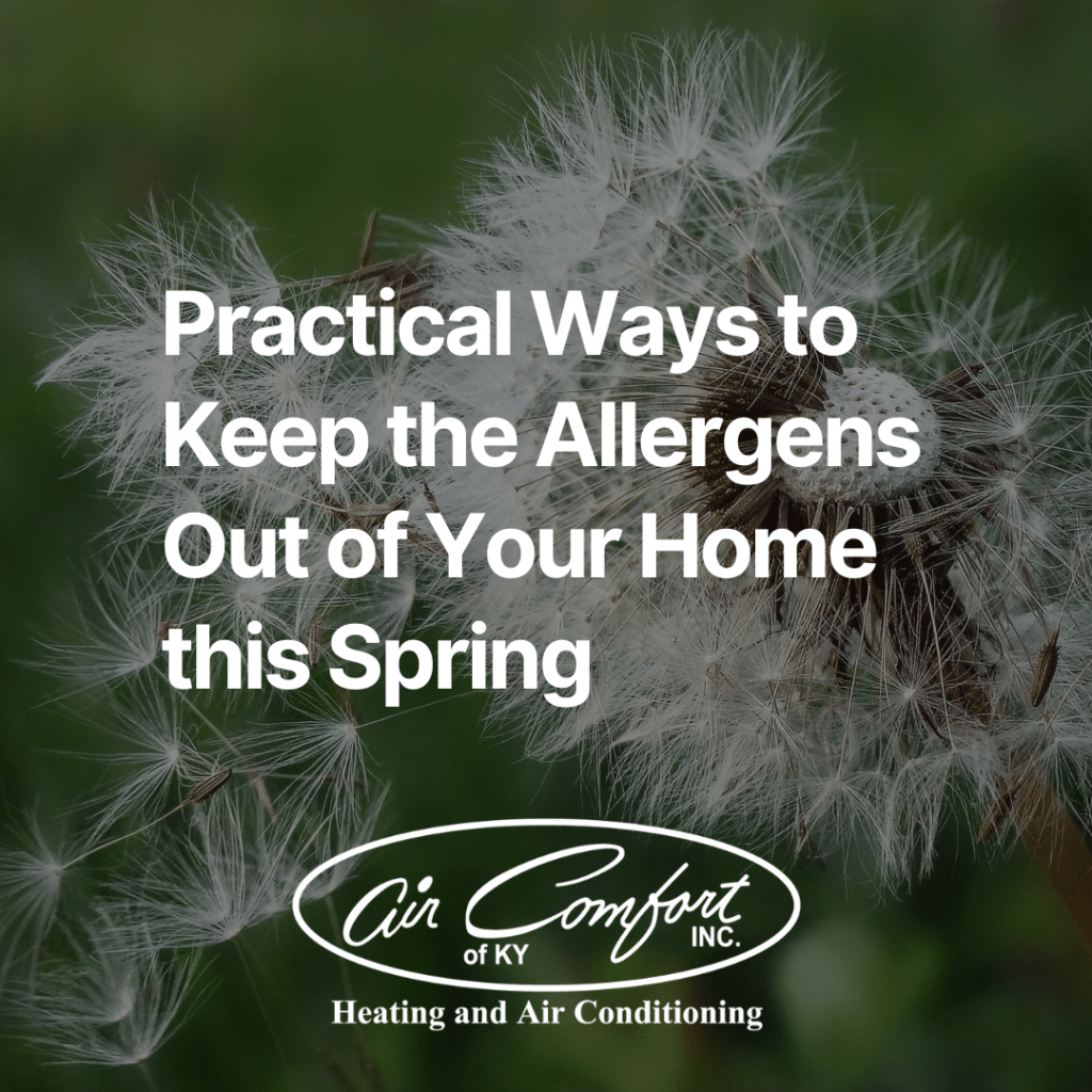 Content image for Microscopic Allergens Hiding Indoors? Tips to Keep Air Fresh