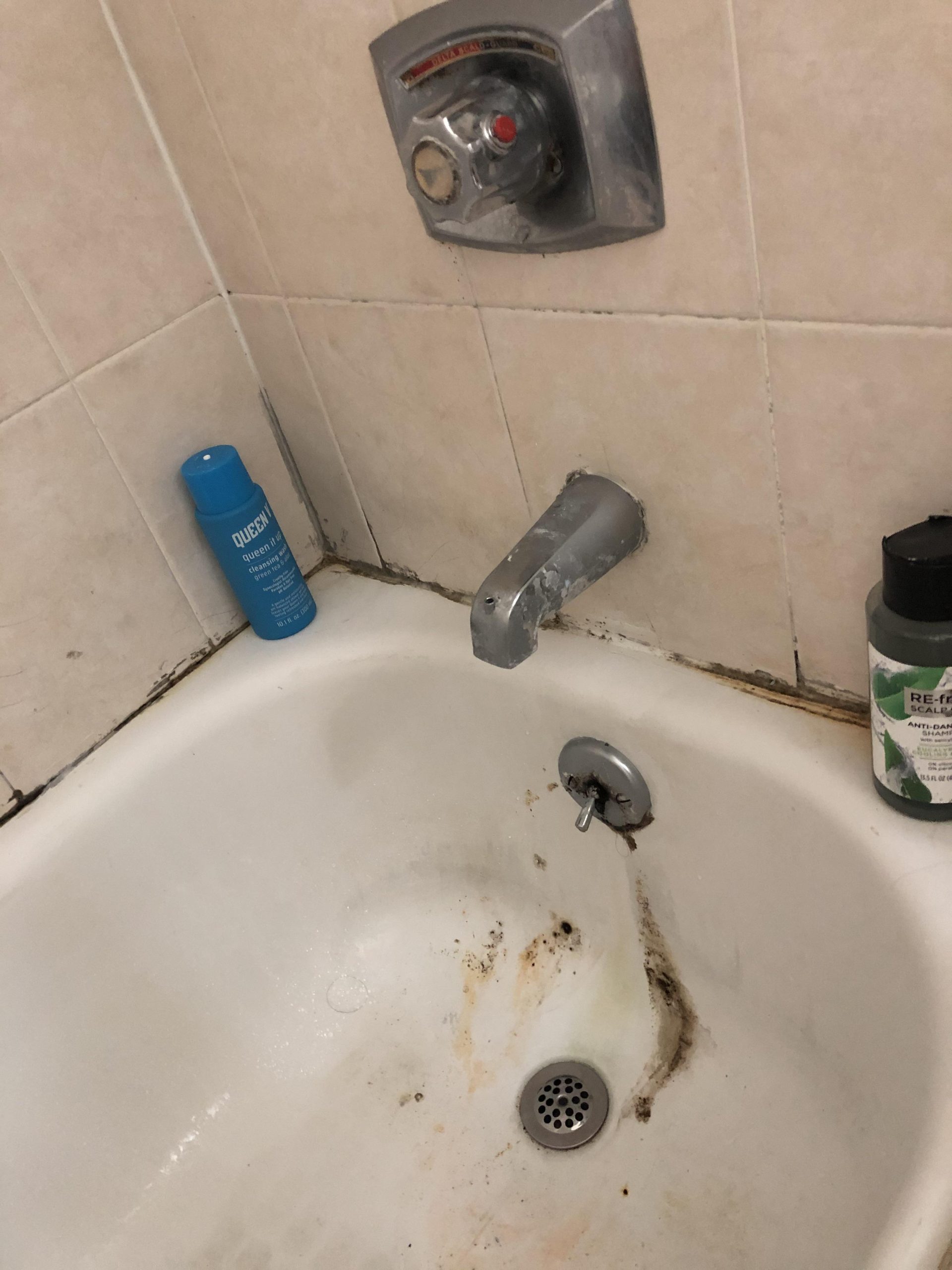 Featured image for Mildew Growing on Outdoor Steps? Best Cleaning and Prevention Tips