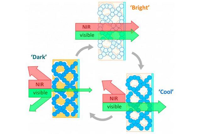 Featured image for Windows Letting Heat Escape? Simple Fixes to Boost Efficiency