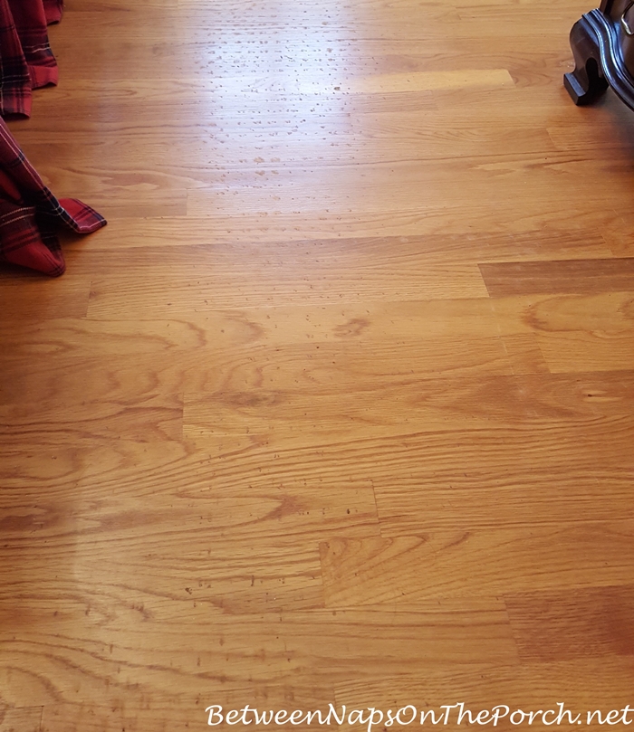 Featured image for Discoloration Under Rugs? Preventing Sun and Heat Stains on Floors