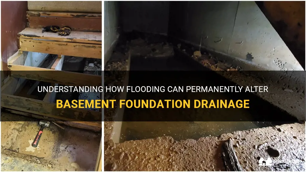 Content image for Basement Flooding After Rain? Signs of Poor Foundation Drainage