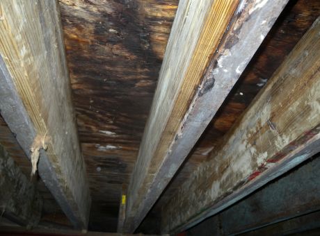 Content image for Crawl Space Feeling Damp? Preventing Moisture From Damaging the Base