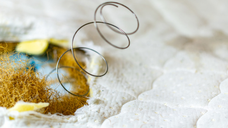 Featured image for Cushions Losing Shape Too Soon? Tricks to Maintain Their Form