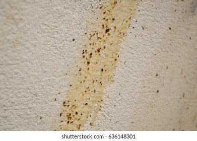 Featured image for Floor Stains That Won’t Go Away? How to Clean Oil and Grease Spots