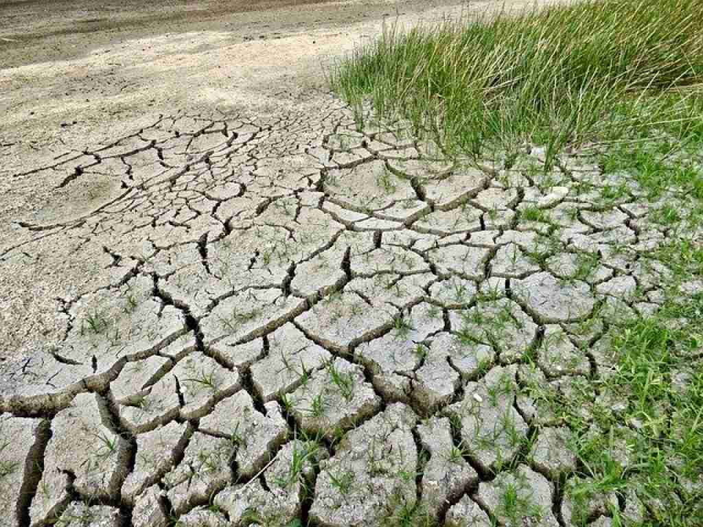 Content image for Soil Draining Too Quickly? How to Improve Retention Naturally