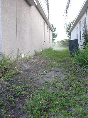 Featured image for Sprinkler Coverage Missing Spots? How to Adjust for Even Watering