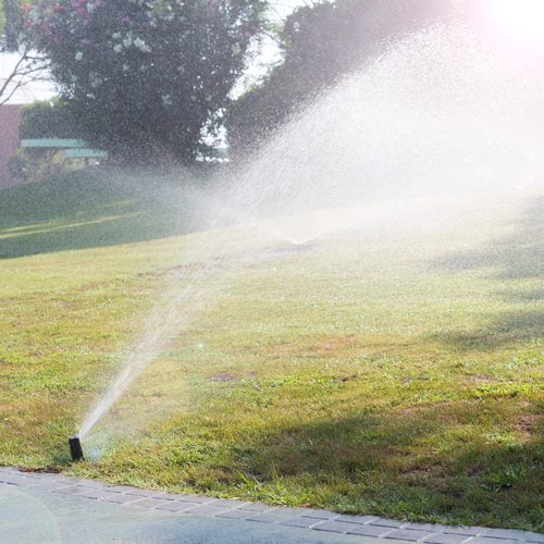 Content image for Sprinkler Coverage Missing Spots? How to Adjust for Even Watering