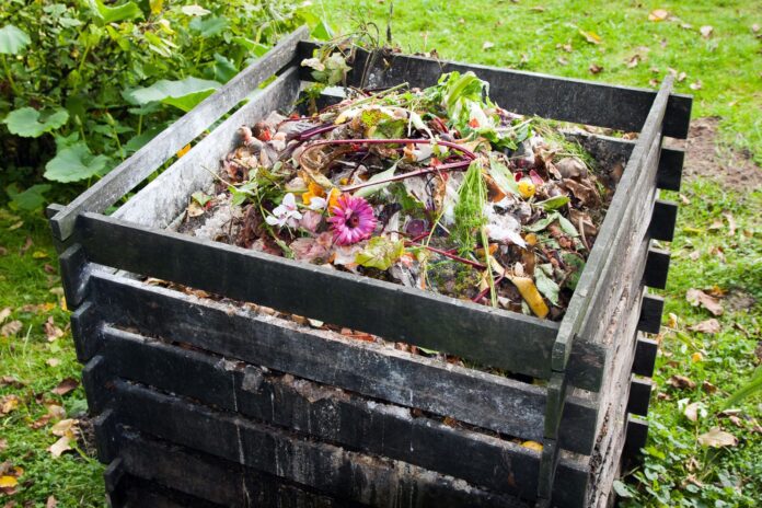Featured image for Compost Bin Attracting Pests? Tips to Keep It Clean and Safe