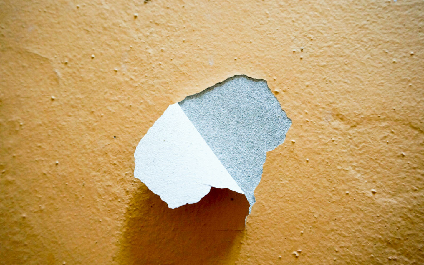 Featured image for Paint Peeling Off Walls Too Soon? Causes and How to Fix It