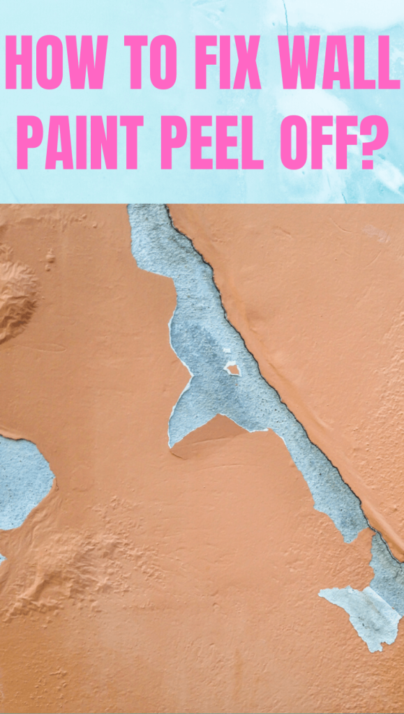 Content image for Paint Peeling Off Walls Too Soon? Causes and How to Fix It