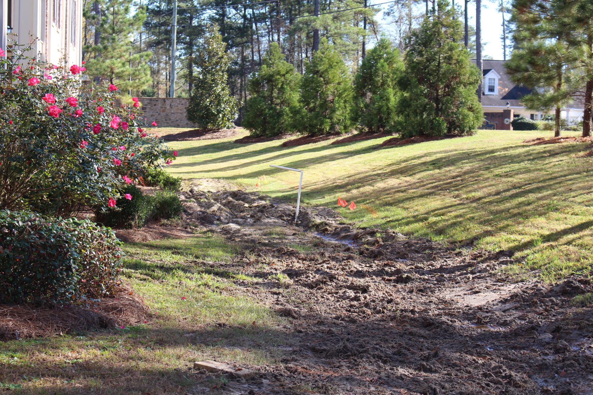 Featured image for Drainage Problems Causing Yard Flooding? Effective Landscape Solutions