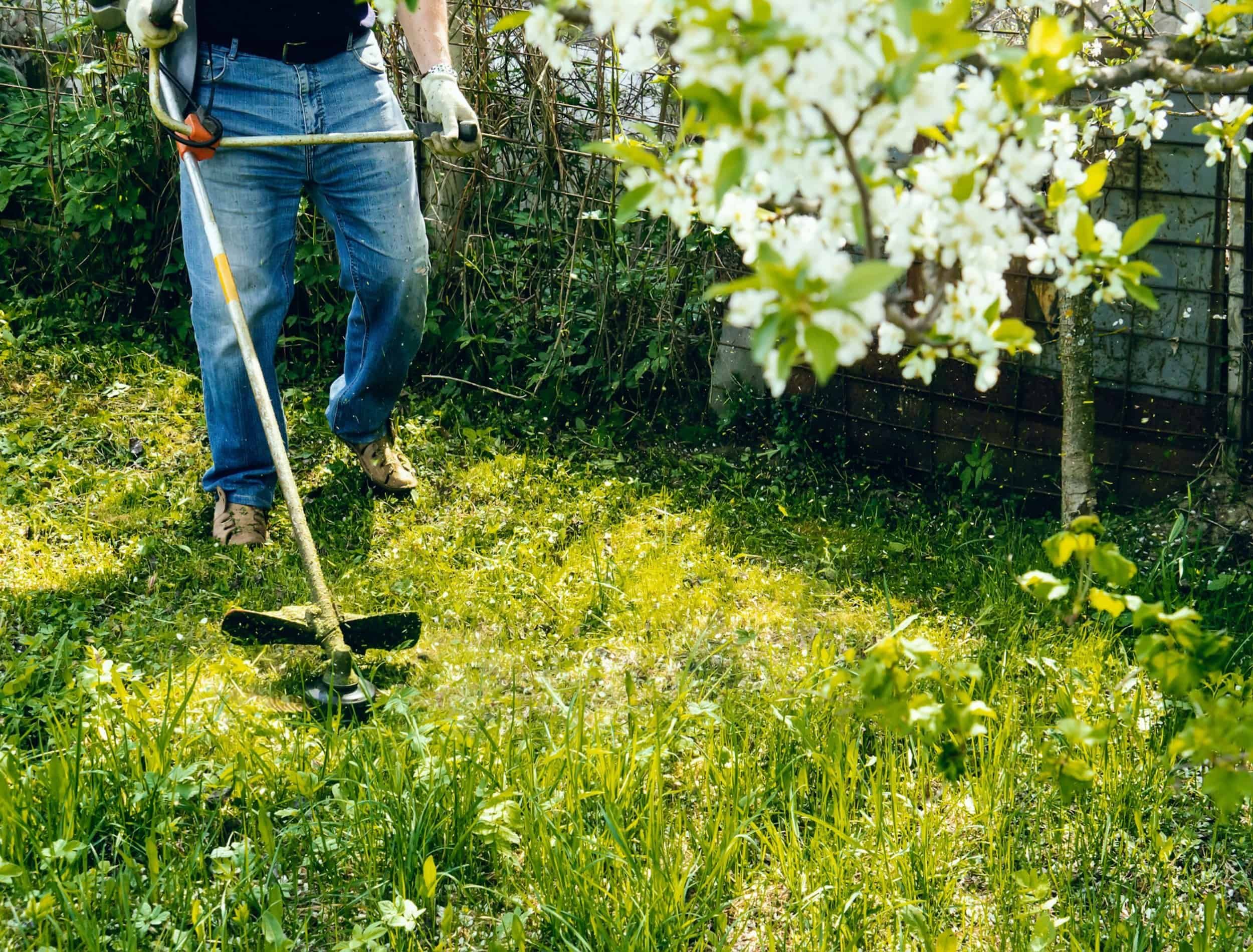 Featured image for Paths Becoming Overgrown With Weeds? Maintenance Tips to Keep Clear