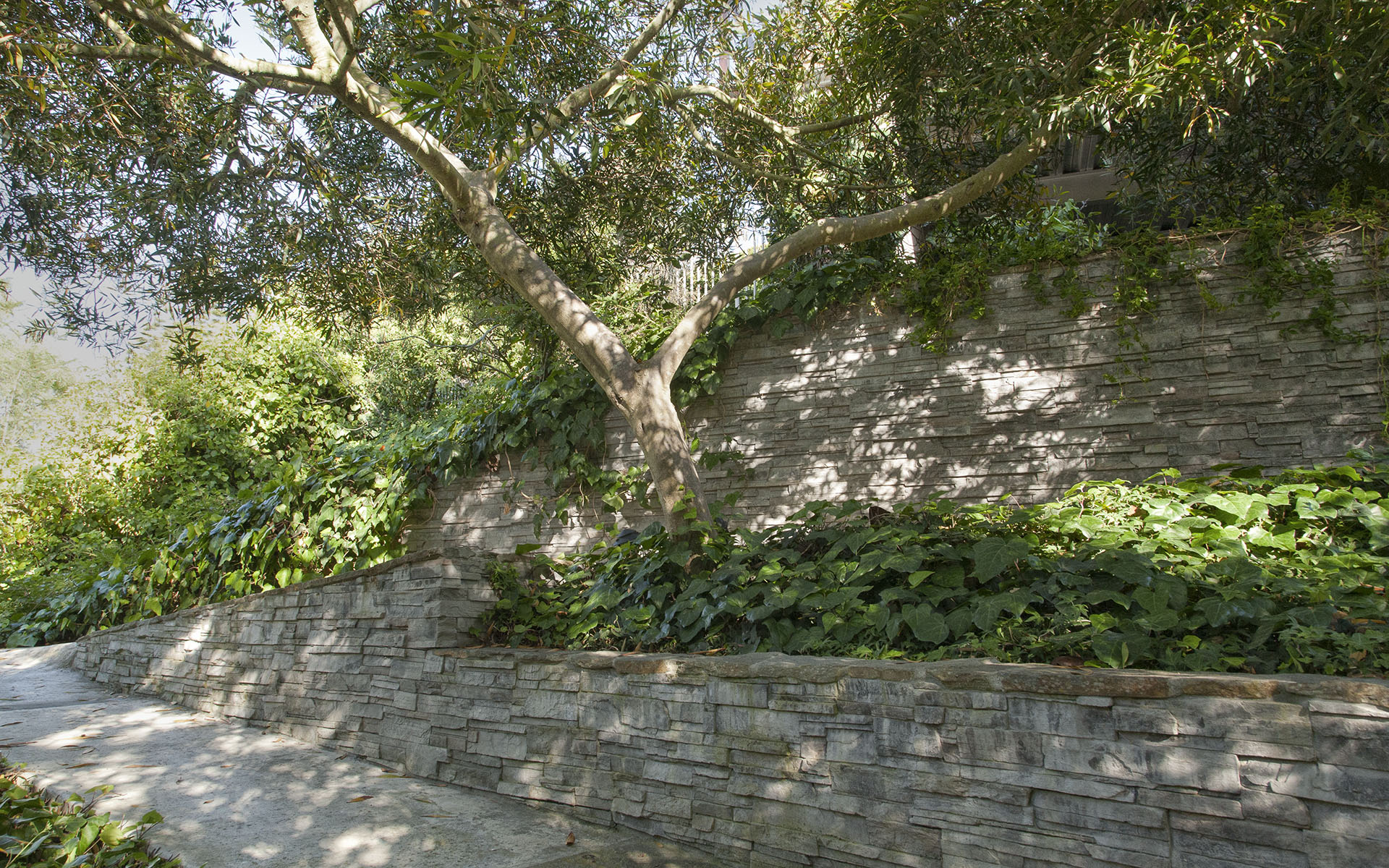 Featured image for Soil Erosion on Slopes? Ways to Stabilize and Protect Your Yard