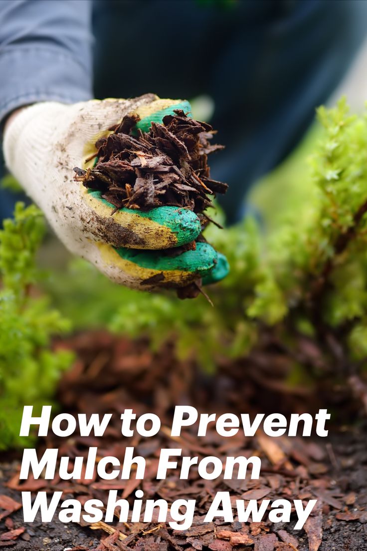 Featured image for Mulch Washing Away After Rain? Techniques to Keep It in Place