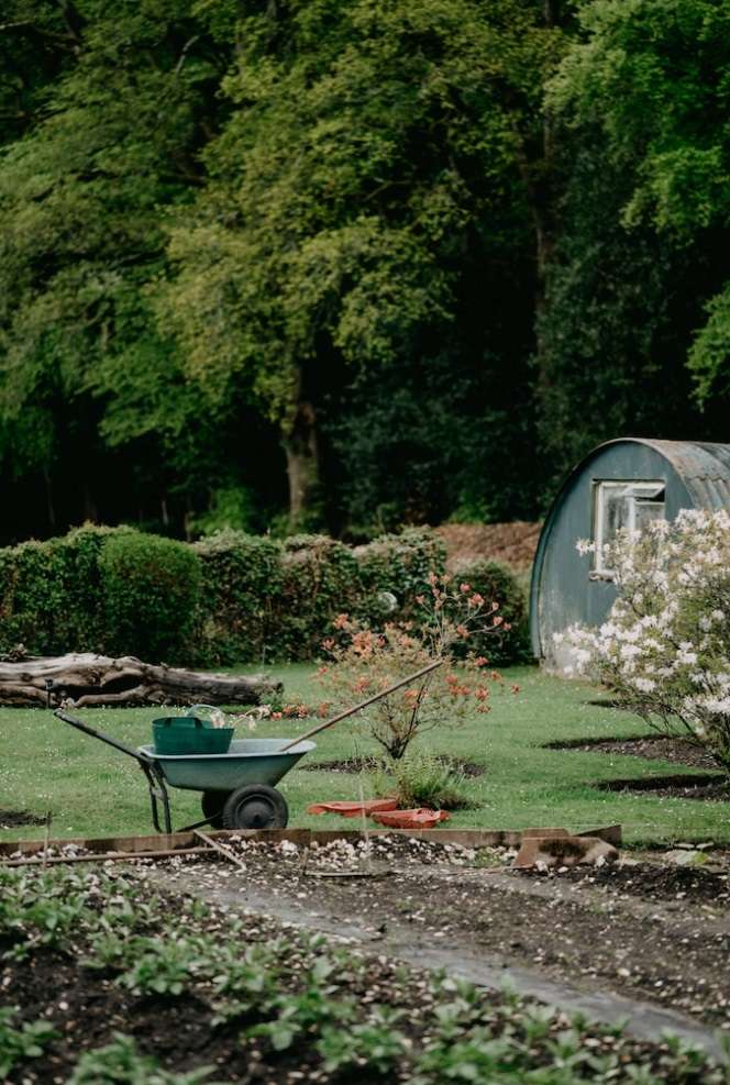 Content image for Mulch Washing Away After Rain? Techniques to Keep It in Place