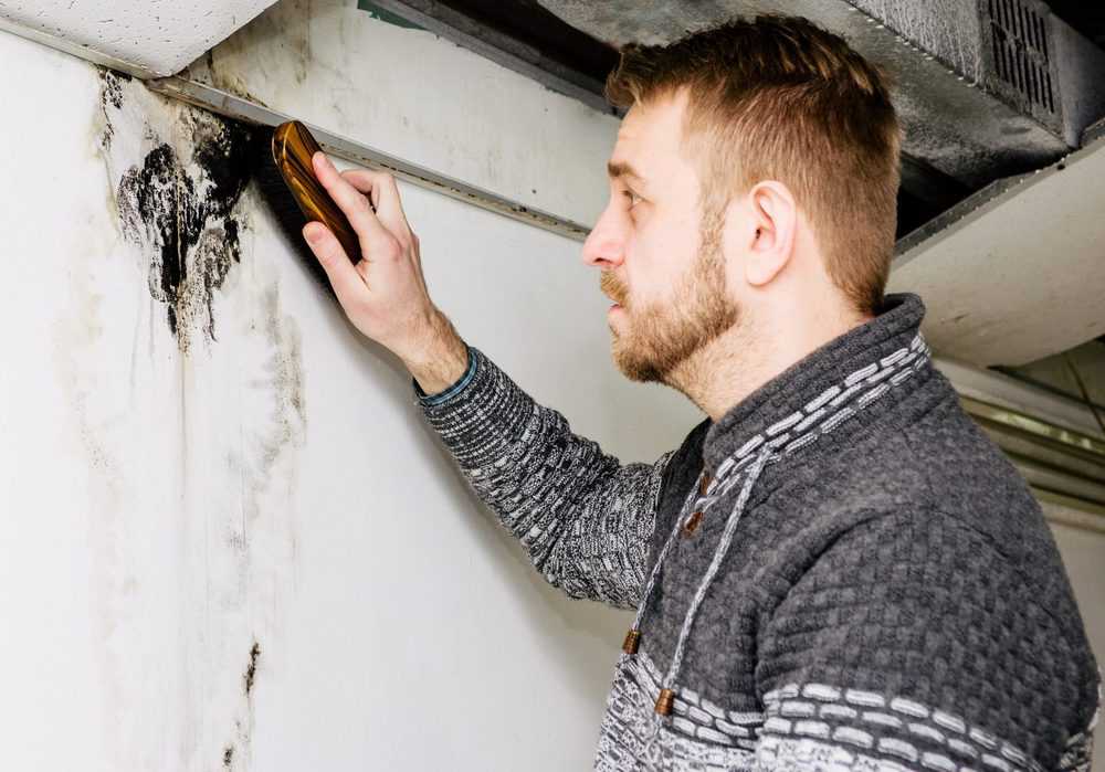 Content image for Basement Mold Returning After Cleaning? How to Keep It Under Control