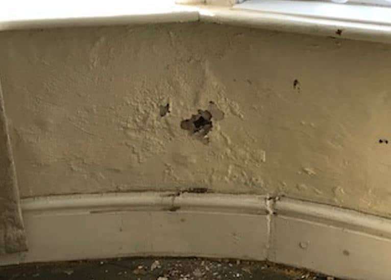 Content image for Paint Bubbling on Walls After Application? What’s Causing the Problem