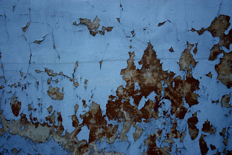 Featured image for Wall Paint Fading Too Fast? Ways to Extend Color Vibrancy Indoors