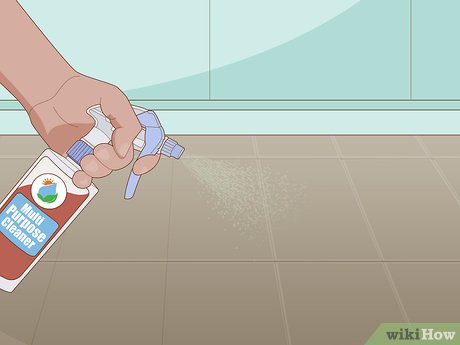 Content image for Mildew Growing Between Boards? How to Clean and Prevent Regrowth