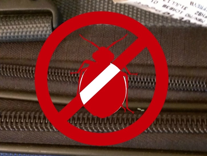 Featured image for Bed Bugs Showing Up After Travel? Steps to Contain and Treat Quickly