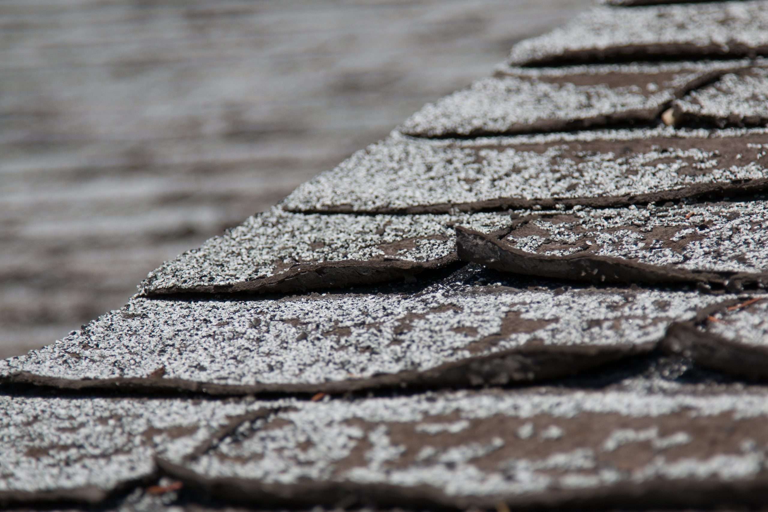 Featured image for Shingles Curling at the Edges? What It Means for Your Roof’s Health