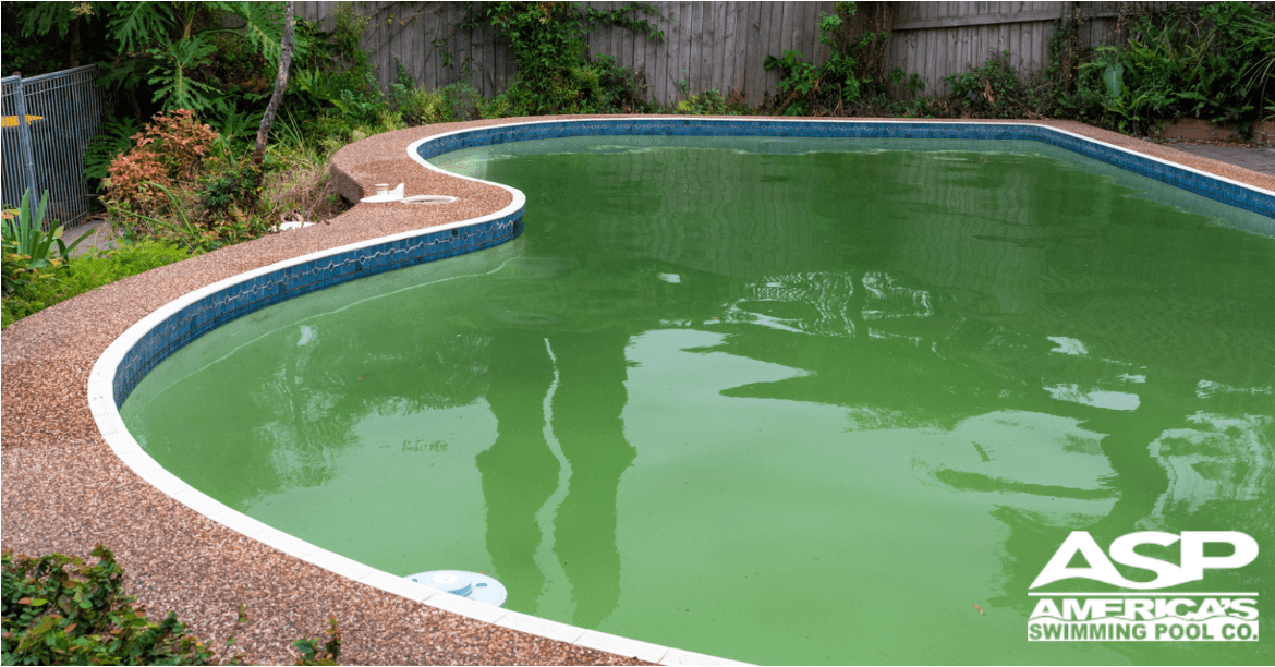 Featured image for Pool Water Turning Green Overnight? Causes and How to Clear It Fast