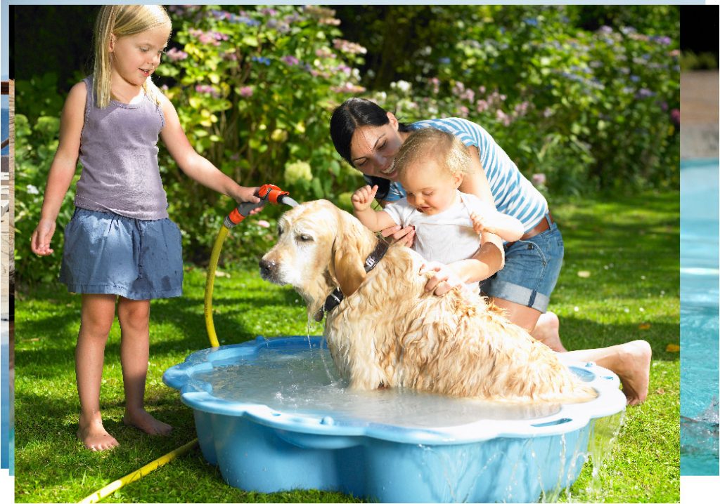 Content image for Pool Water Turning Green Overnight? Causes and How to Clear It Fast