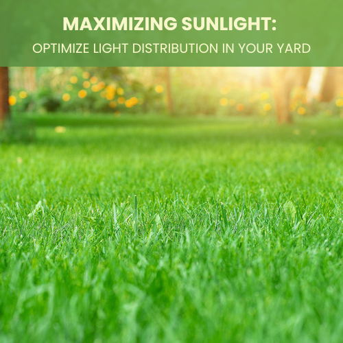 Featured image for Not Enough Natural Light? Maximizing Sunlight in Small Workspaces