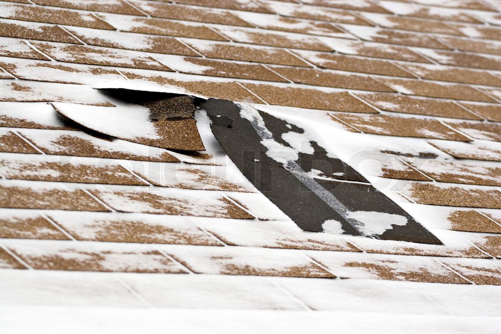 Featured image for Shingles Blowing Off in High Winds? How to Reinforce Roof Coverage