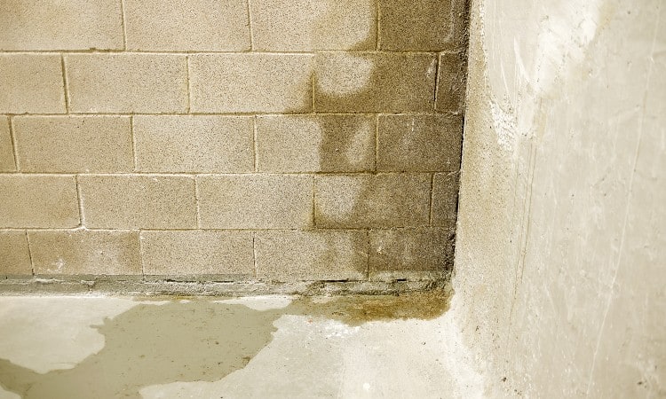 Featured image for Leaks Appearing After Heavy Rain? Identifying the Source and Sealing It