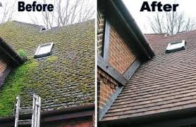 Featured image for Moss Growing on Roof Surface? Safe Removal and Prevention Techniques