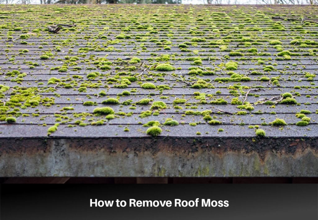 Content image for Moss Growing on Roof Surface? Safe Removal and Prevention Techniques